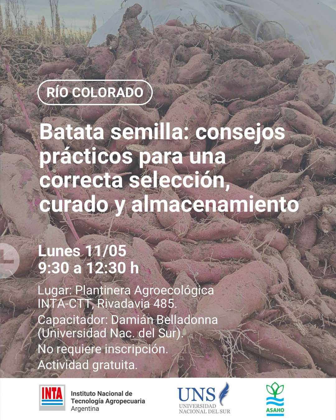 Taller “Batata semilla: consejos prácticos para una correcta selección, curado y almacenamiento”